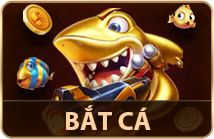 Bắt Cá